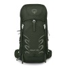 2019 Osprey Talon 33 Rucksak - Yerba Green