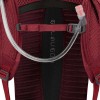 Siskin 12 Osprey Hydration Pack
